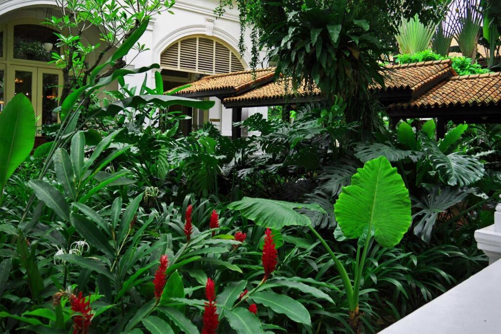 Jardín residencial diseñado con plantas adaptadas al clima de Paraguay